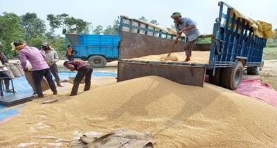 Over 425.77 Lakh Metric Tonnes of Wheat procured so far in ongoing Rabi season